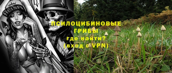 соль ск Алзамай